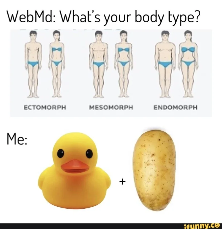 ectomprph.webp