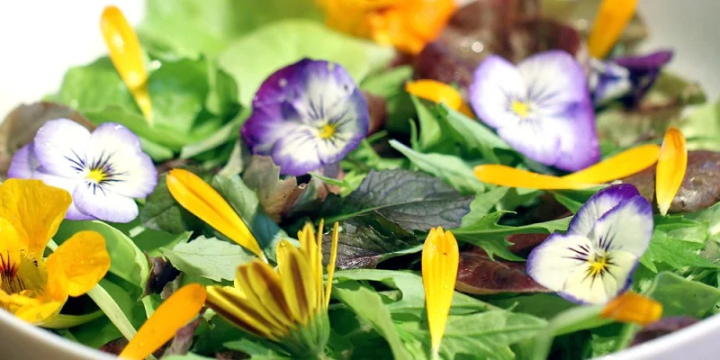 edible-flowers.webp