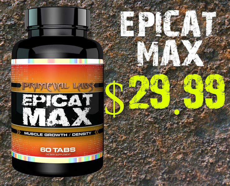epicat.jpg
