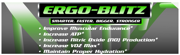 ergo header.PNG