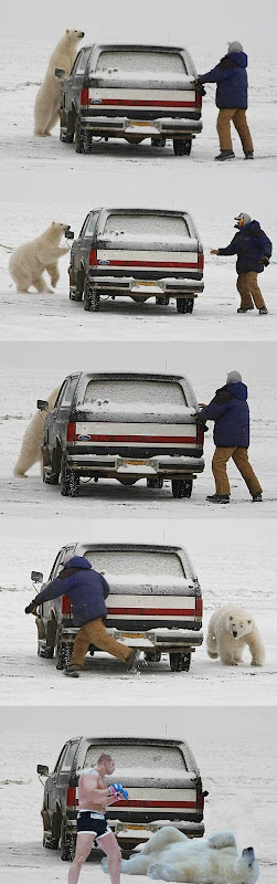 fedor.jpg