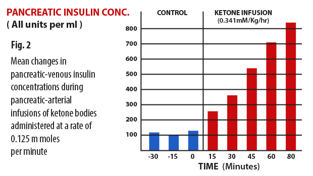 Figure-02.jpg