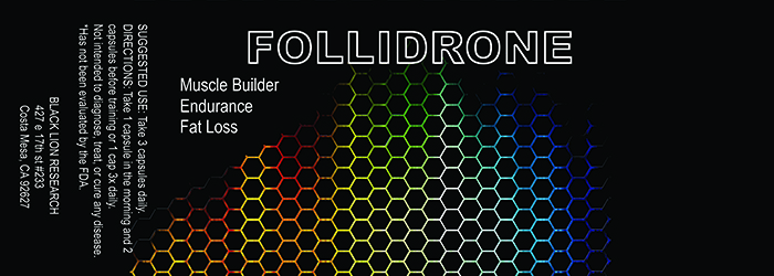 Follidrone2-3small.jpg