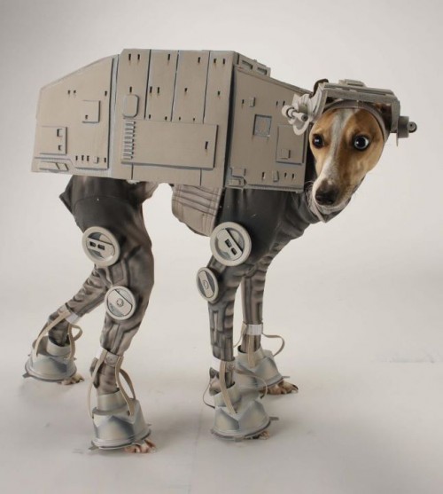 funny-Halloween-costume-dog-Star-Wars.jpg