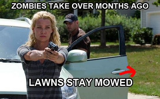 funny-The-Walking-Dead-lawn-mowed.jpg