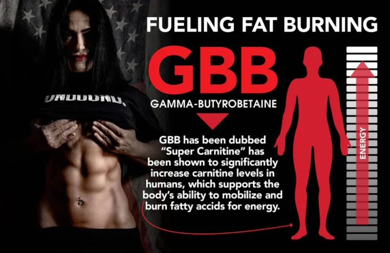 GBB-Gamma-butyrobetaine.webp