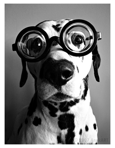 glasses37.jpg