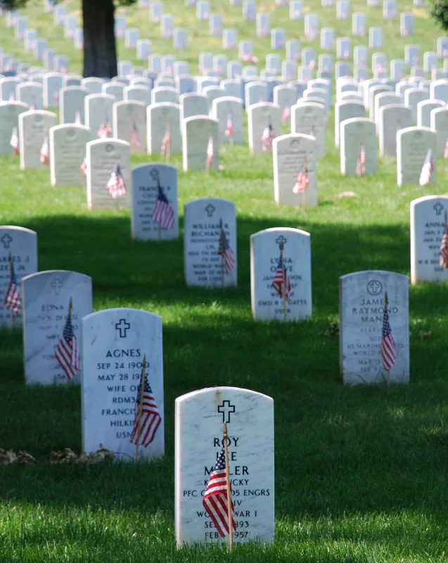 Graves_at_Arlington_on_Memorial_Day.webp