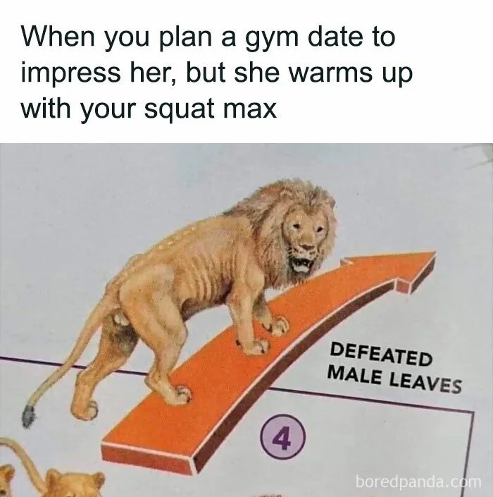 gym-memes-fail-nation-312-66992c63d513e__700.webp