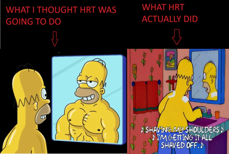 HRT FUNNY REAL.webp