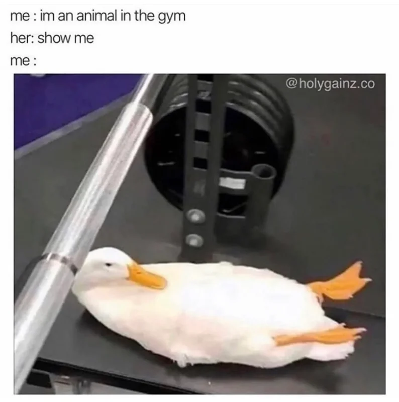 Im-an-animal-in-gym.webp