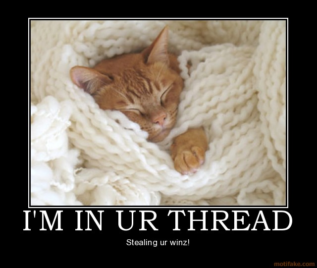 im-in-ur-thread-cat-win-demotivational-poster-1220620018.jpg