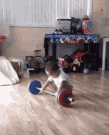IMG_0290.gif