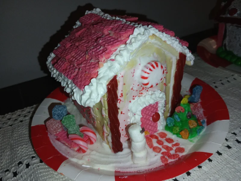 IMG_20251223_213029_488.webp