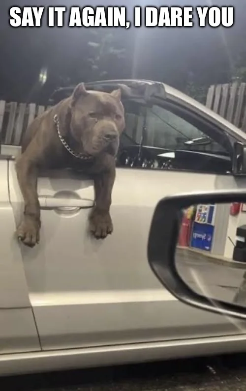 IMG_4538.webp