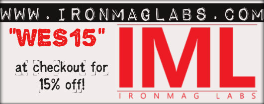 IMLwes15Logo.jpg