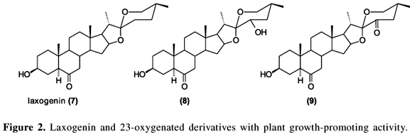 laxogenin-derivatives.png