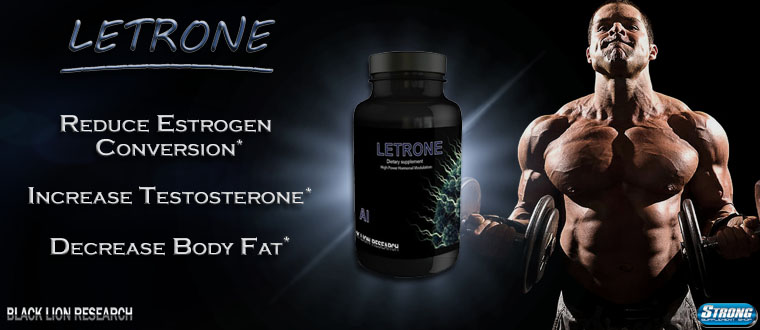letrone_banner1.jpg