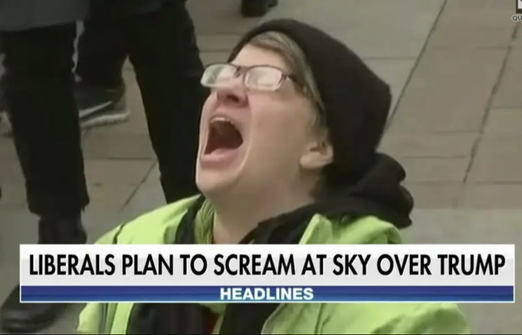 Liberal+Screaming+at+the+sky+after+Trump+wins.webp