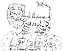 liger.jpg