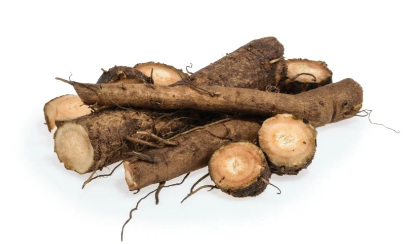 Malanga-Root-health-benefits.webp