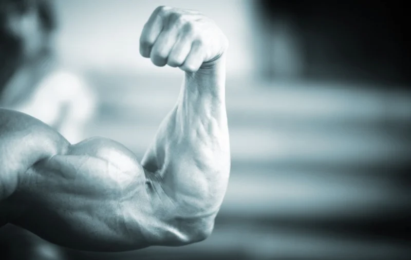 Mind-Muscle-Connection.webp