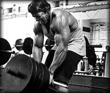 monsterback_380.jpg