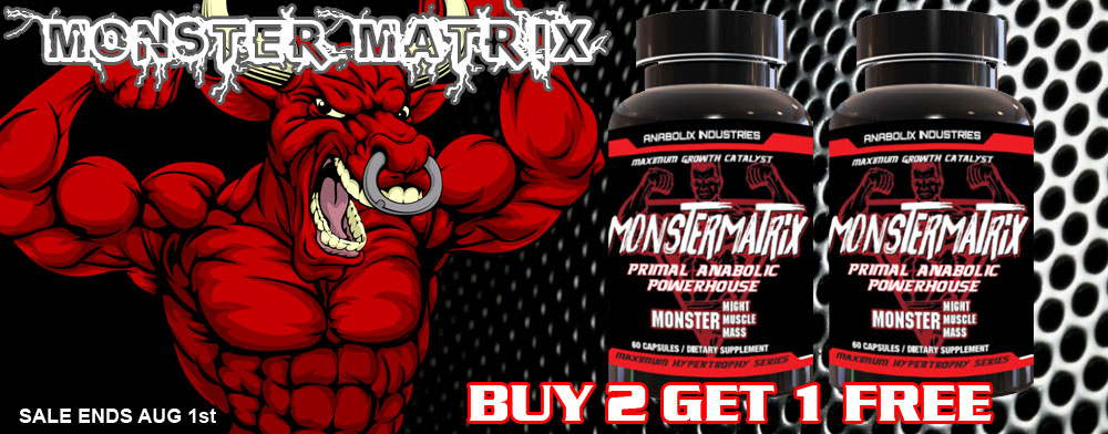 monstermatrixbanner copy.jpg