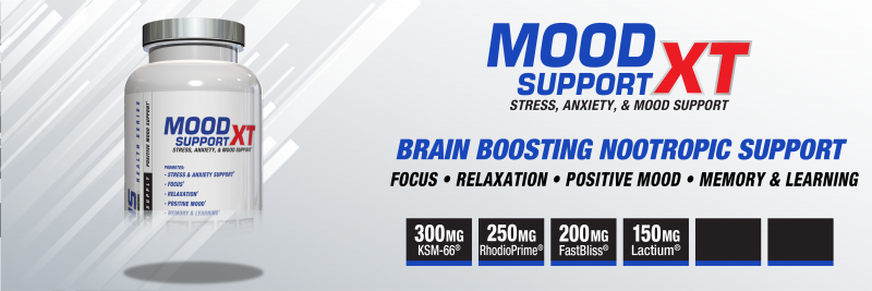 MoodSupportXT-Teaser5A-1200x400.png