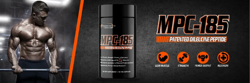 MPC185-Banner3-(1920X640).webp