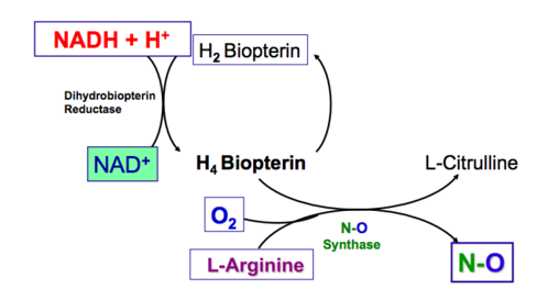 nadh schematic.PNG