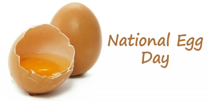National-Egg-Day~2.jpg