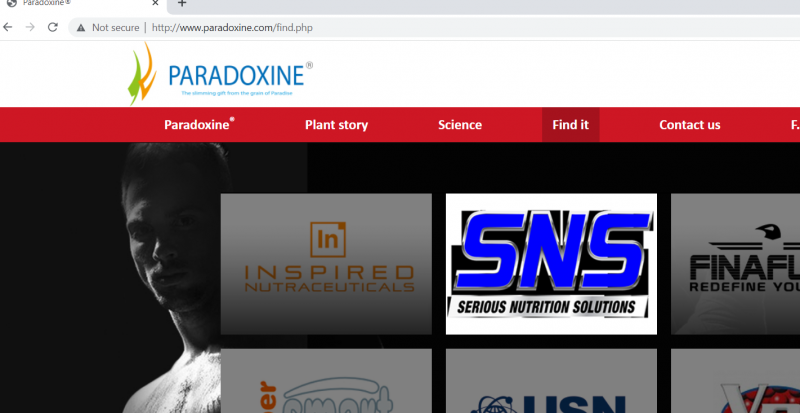 Paradoxine Website screenshot.PNG
