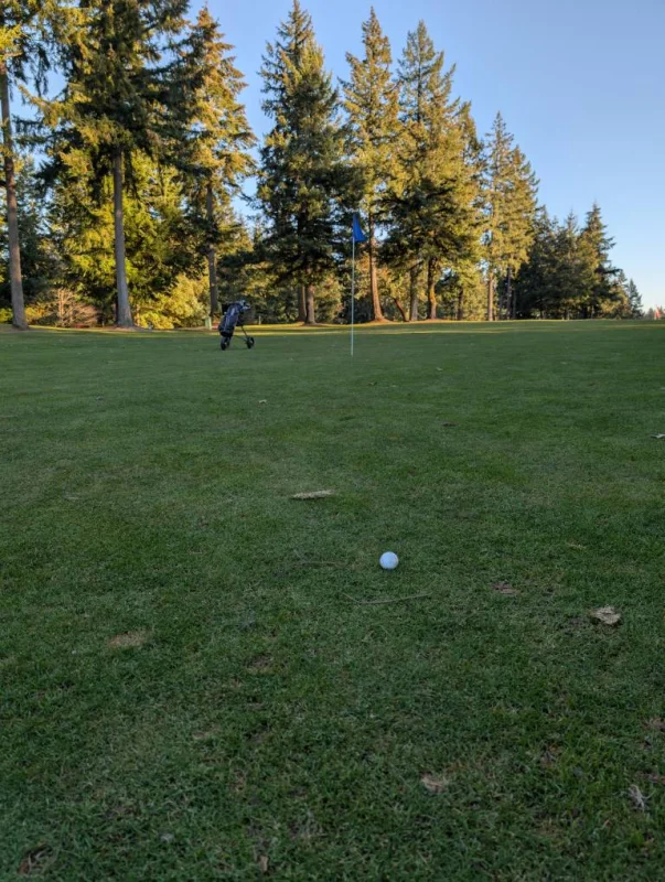 PXL_20250212_002401054.webp