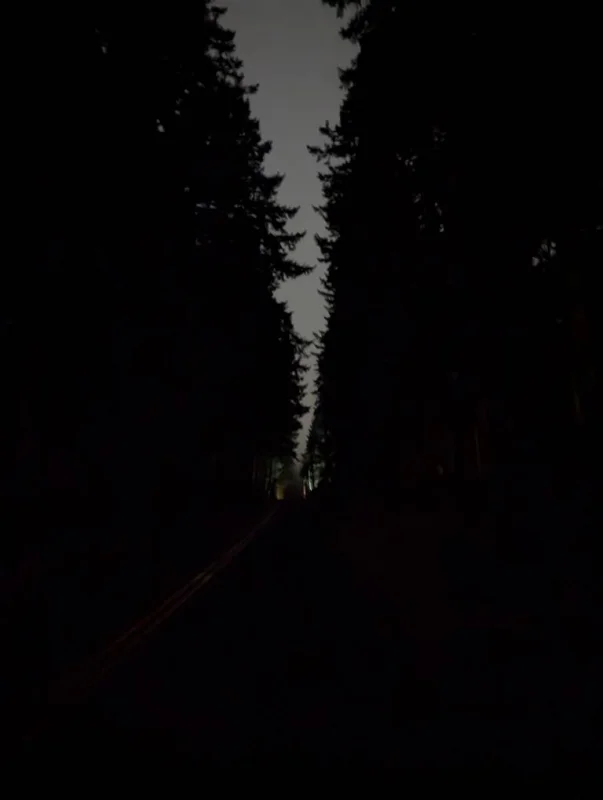 PXL_20250911_121115089.NIGHT.webp