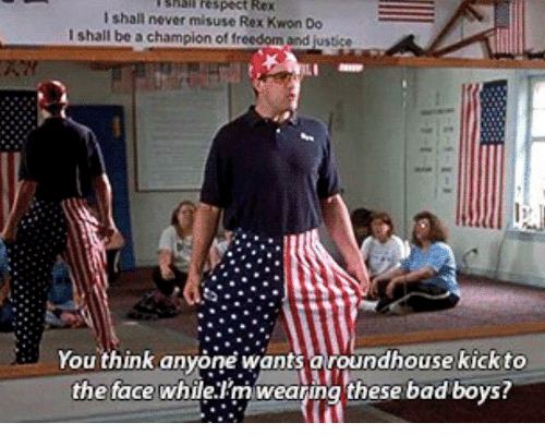 respect-rox-shall-never-misuse-rex-kwon-do-ishall-be-16284369.png