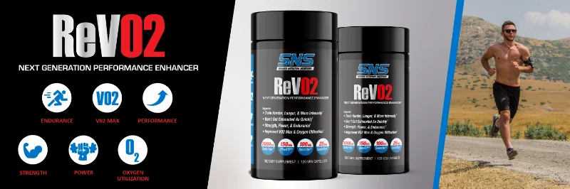 ReV02 (Banner3A) 1200x400.webp