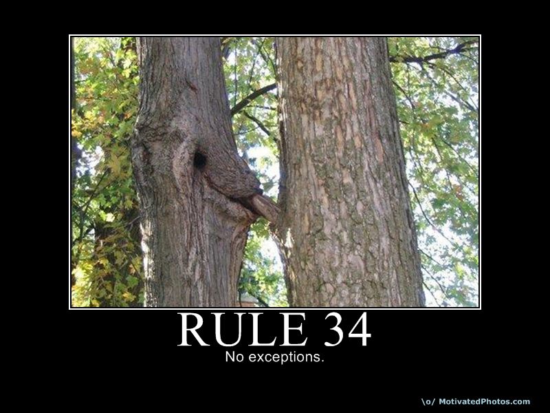 rule-34-no-exceptions-meme-collection-1mut.com-4.jpg