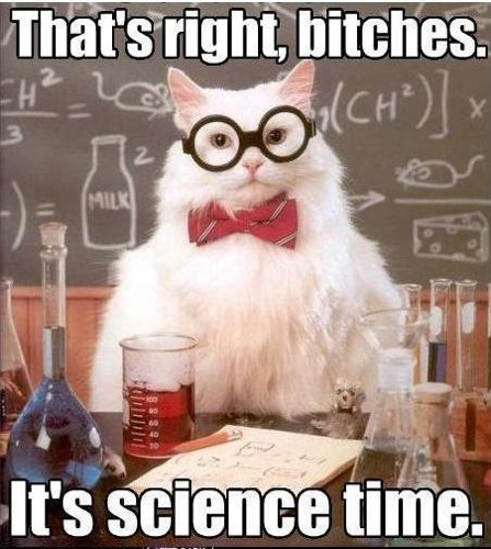 sciencecat-sciencetime.jpg
