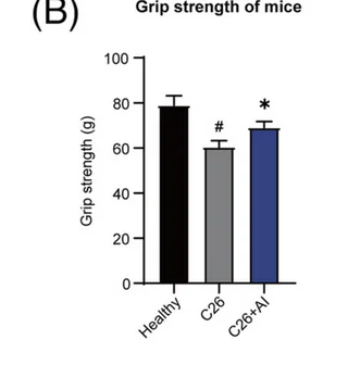 Screenshot 2024-09-15 at 09-30-28 Atractylenolide I ameliorates cancer cachexia through inhib...webp