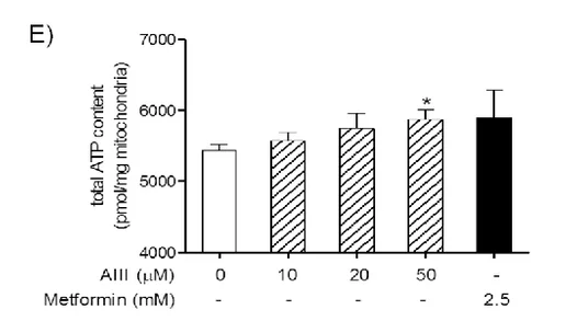 Screenshot 2024-09-15 at 09-36-52 Figure 3 from Atractylenolide III Enhances Energy Metabolis...webp