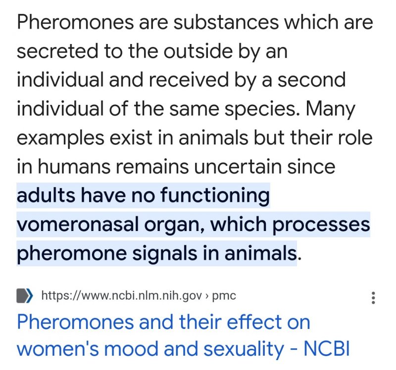 Screenshot_20231016_160809_Google.jpg