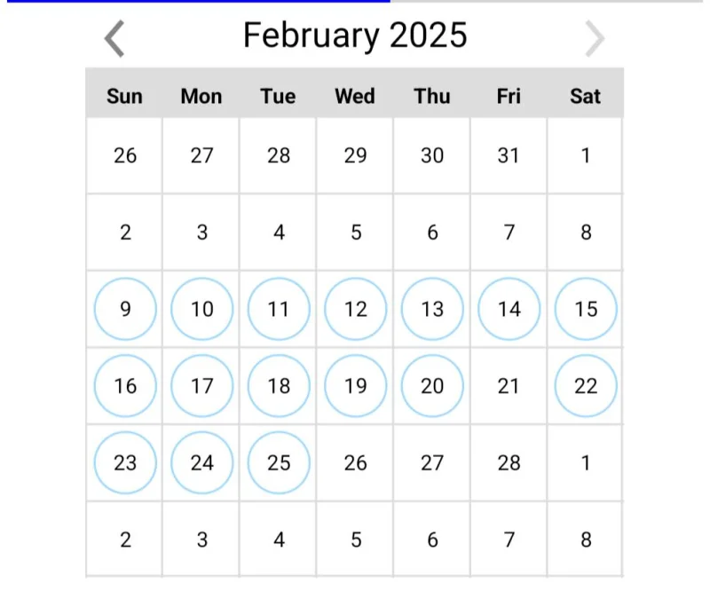 Screenshot_20250225-104135.webp