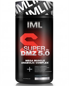 SDMZ 5.0.jpg