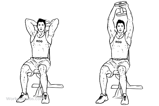 seated_tricep_press.png