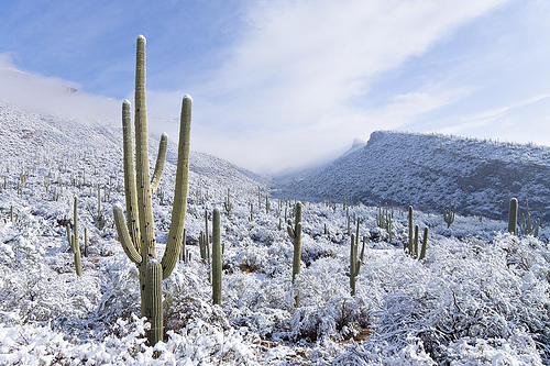 snow-in-Tucson.jpg