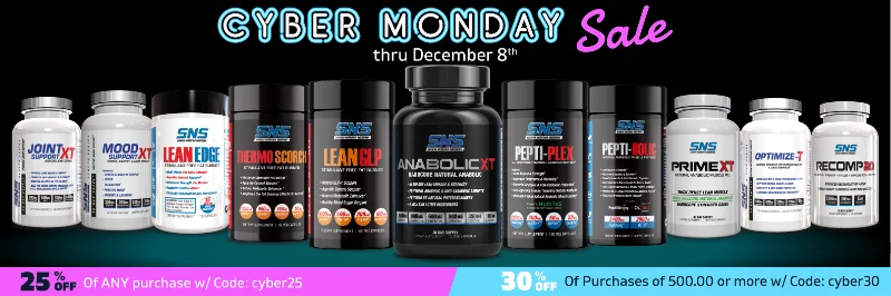 SNS-CyberMonday-2025B-1200x400.webp