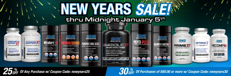SNS-NewYears2025-1200x400.webp