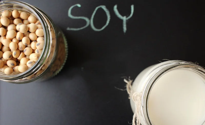 Soy-Raises-Estrogen.webp