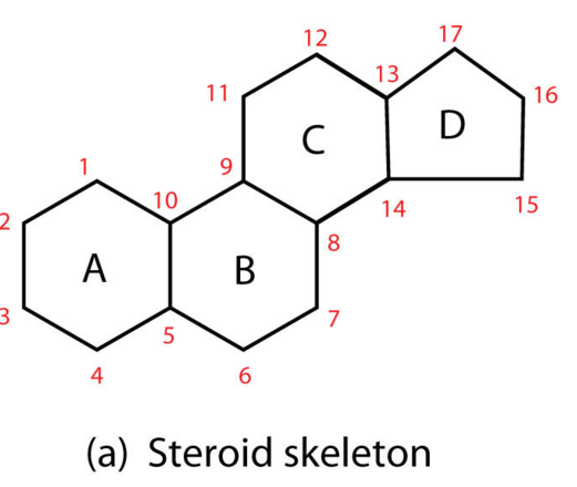 steroid2.png
